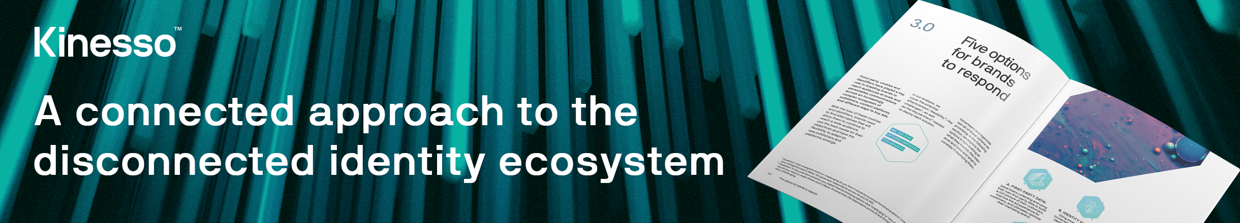 Download A Connected Approach to the Disconnected Identity Ecosystem